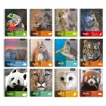 Pack 10 Cuadernos Universitarios 7Mm Nature T/D Proarte
