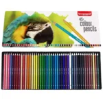 Set 45 Lápices Color Pajaro Bruynzeel - Imagen 2