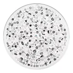 Juego de Mesa - Yo Lo Vi Black & White Dactic - Imagen 4