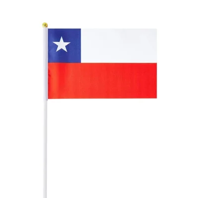 Bandera De Mano 30x20Cms